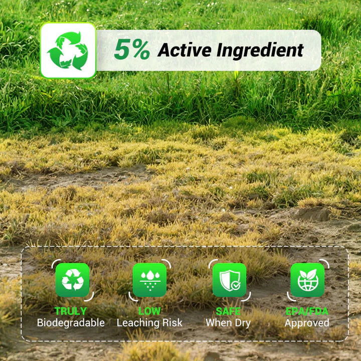 Vermicompost Fertilizer for Home garden Plants 500g