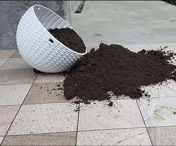 Vermicompost Fertilizer for Home garden Plants 500g